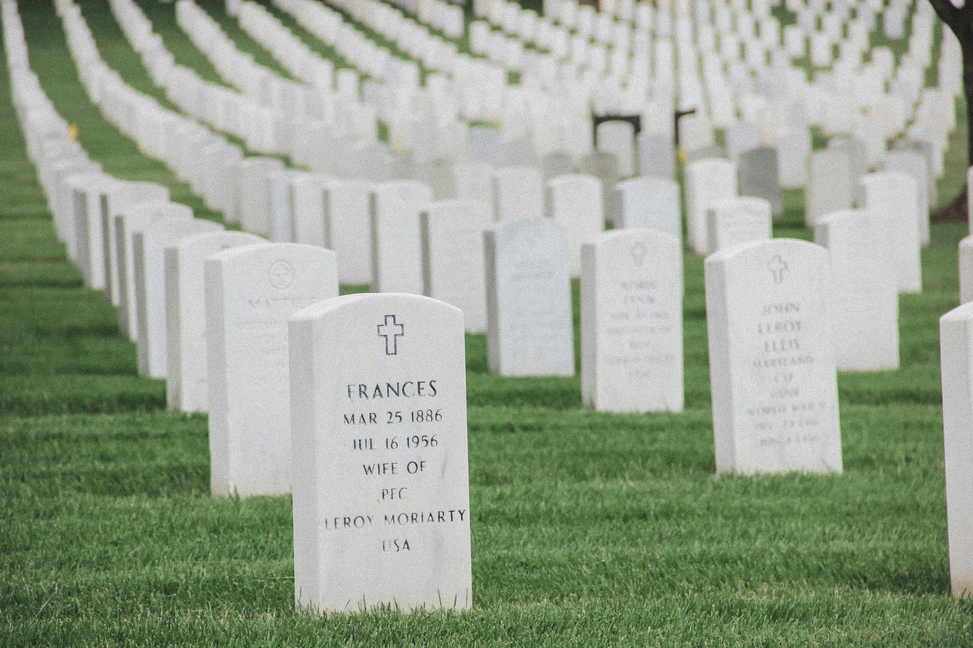 ein Friedhof mit Reihen von Grabsteinen und Bäumen